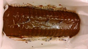 10644707_10205812664770914_6654074068420868685_o