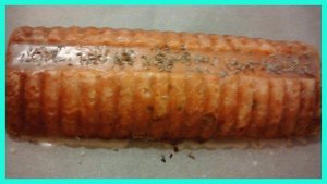 12659842_10205960633150031_1376731096_n