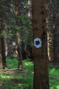 Erdély 2016.08 (119)