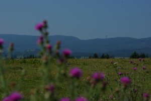 Erdély 2016.08 (95)