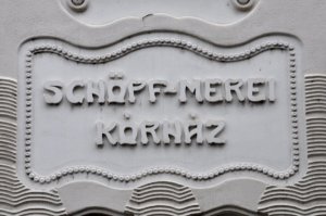 schopf-merei_hospital_02